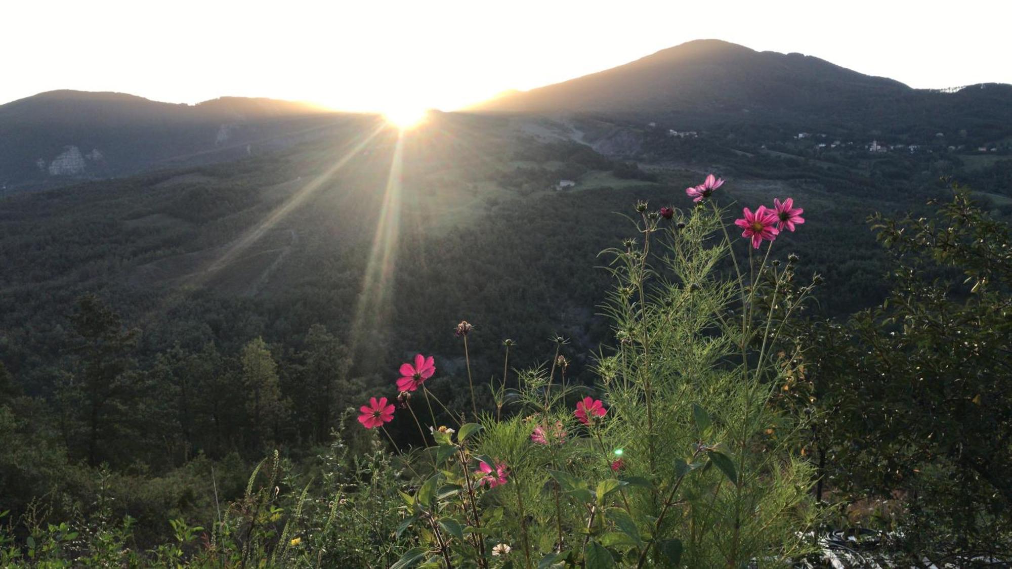 Le Spine B&B Sulla Via Francigena Berceto Exterior foto